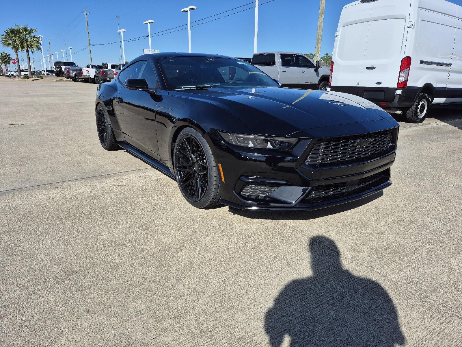 2025 Ford LOWERED Mustang EcoBoost Premium