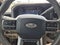 2025 Ford Super Duty F-250 SRW Platinum