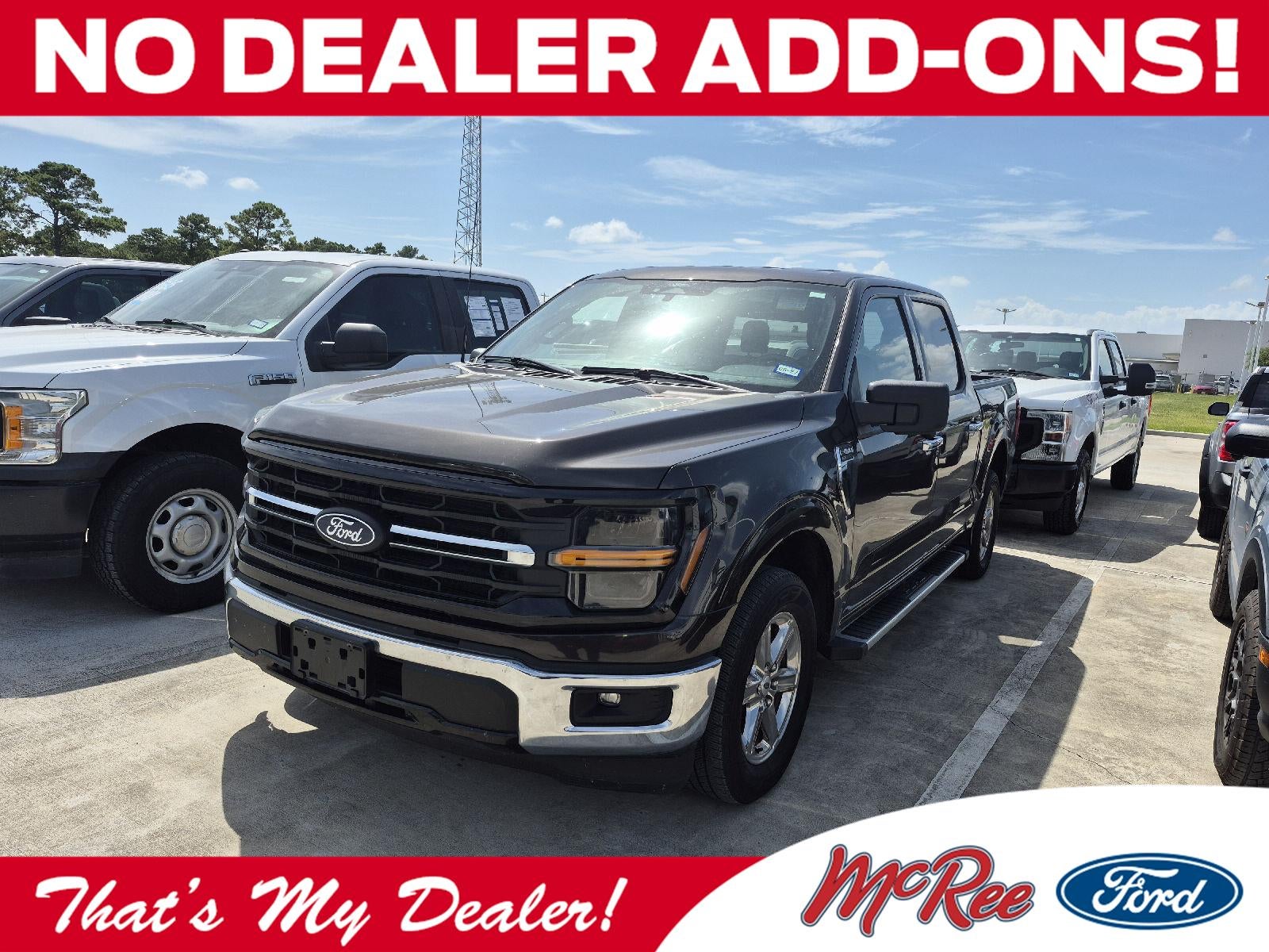 2024 Ford F-150 XLT