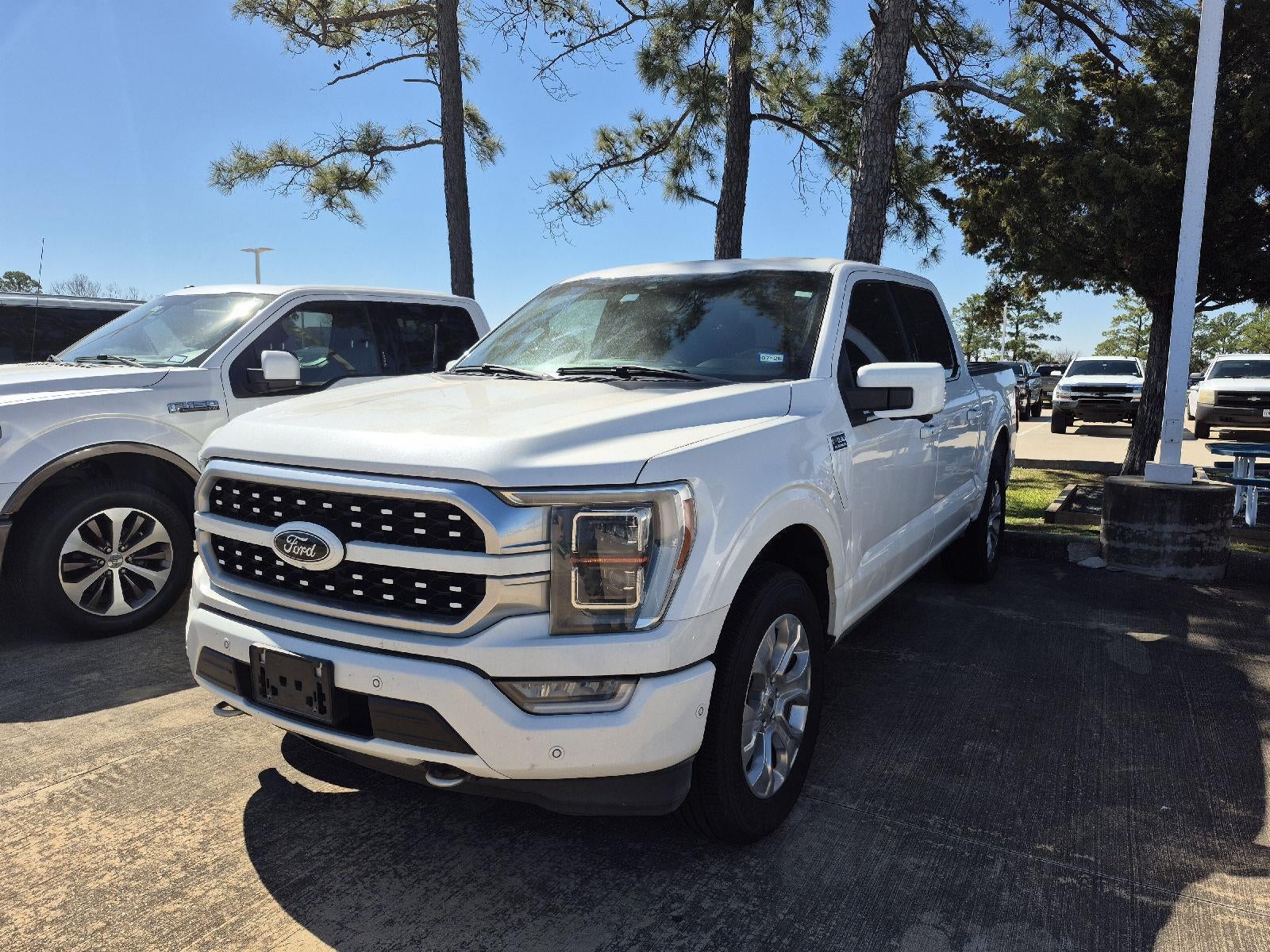 2021 Ford F-150 Platinum