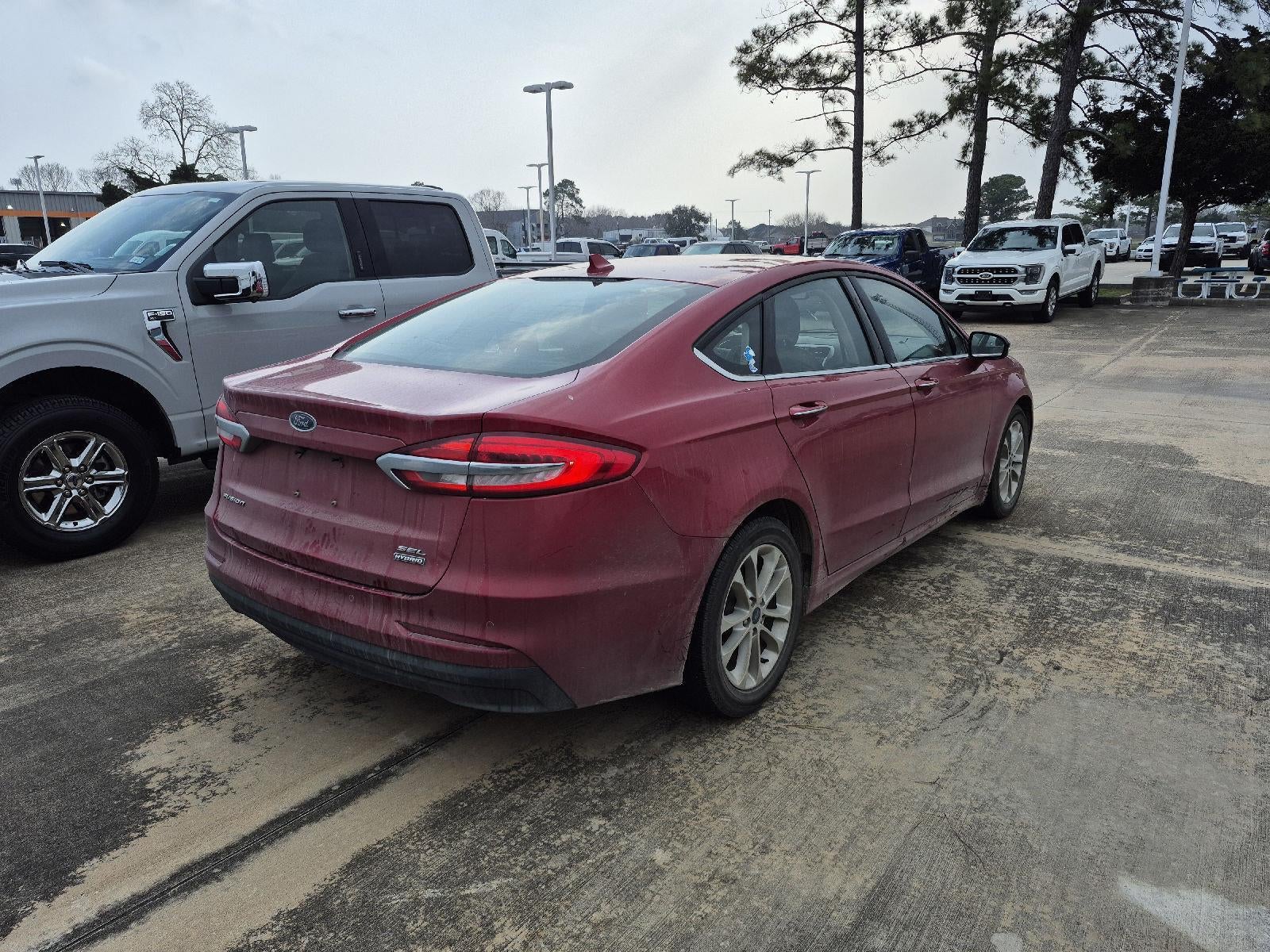 2020 Ford Fusion Hybrid SEL