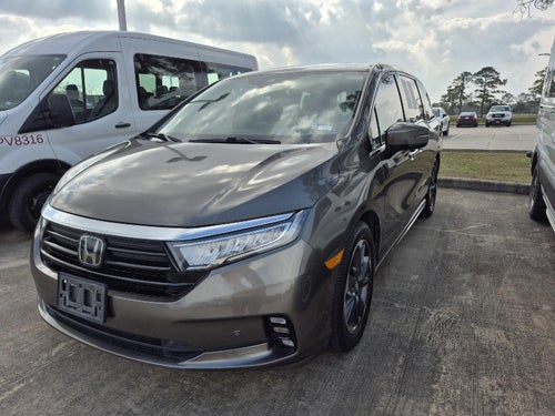 2023 Honda Odyssey Elite