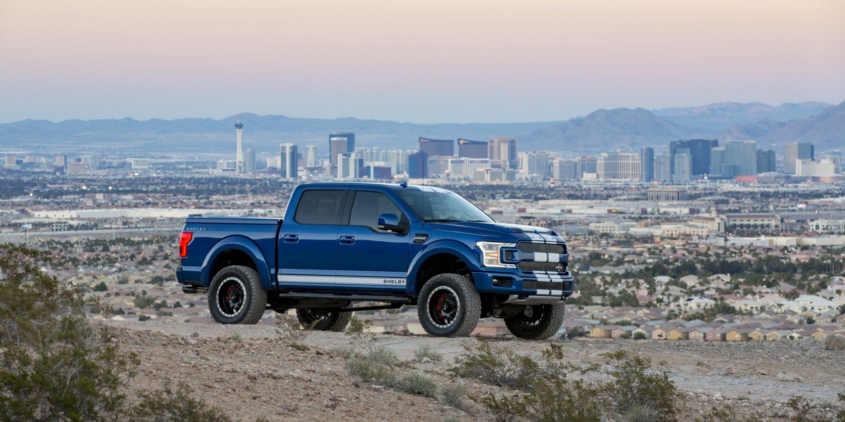 Shelby F-150 Truck